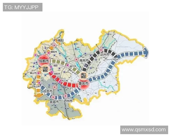 杭州与重庆排球队赛后复盘团队协作的成功与不足分析