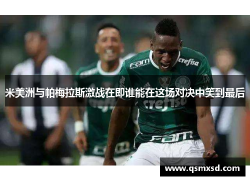 米美洲与帕梅拉斯激战在即谁能在这场对决中笑到最后