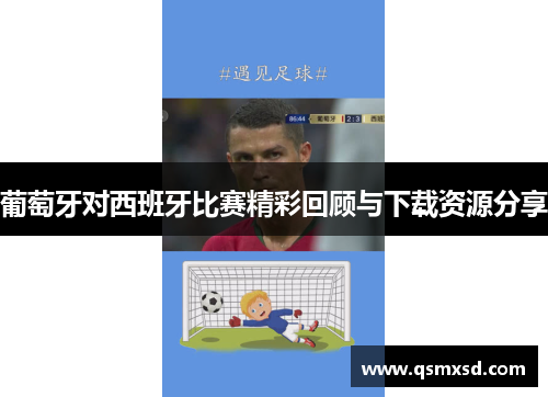 葡萄牙对西班牙比赛精彩回顾与下载资源分享