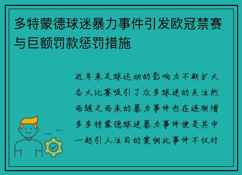 多特蒙德球迷暴力事件引发欧冠禁赛与巨额罚款惩罚措施